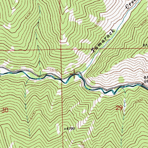 Topographic Map of Tamarack Creek, ID