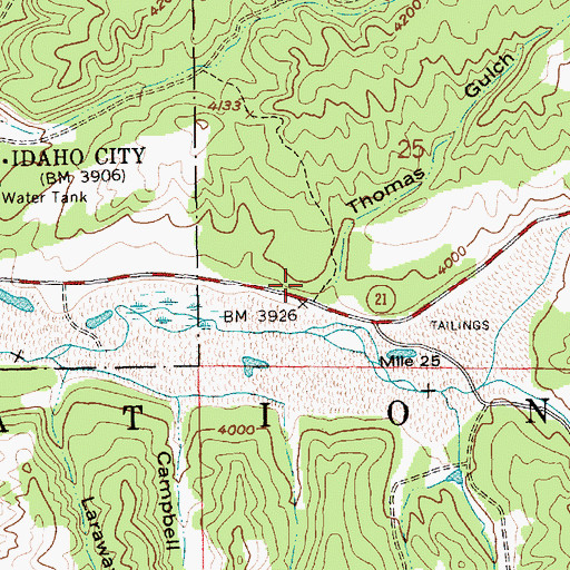 Topographic Map of Thomas Gulch, ID