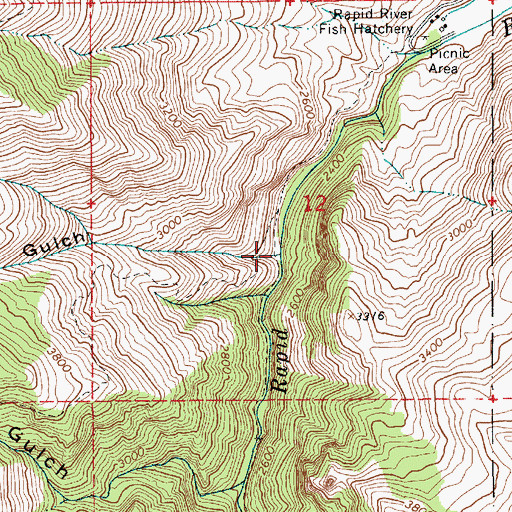Topographic Map of Thorn Gulch, ID