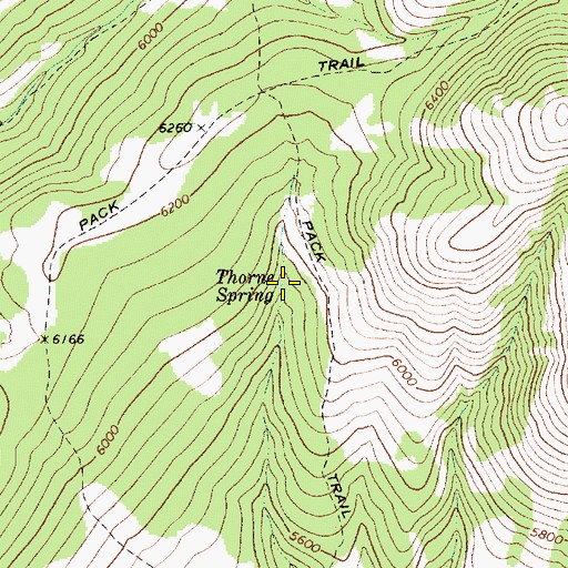 Topographic Map of Thorne Spring, ID