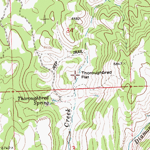 Topographic Map of Thoroughbred Flat, ID