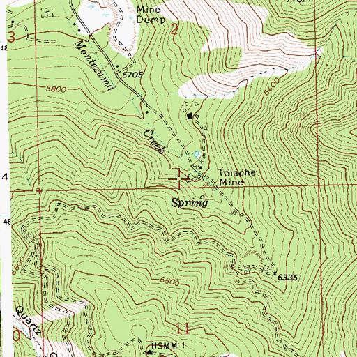 Topographic Map of Tolache Mine, ID