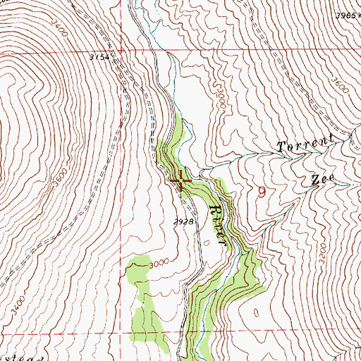 Topographic Map of Torrent Creek, ID