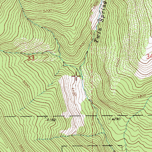 Topographic Map of Twin Spring Creek, ID