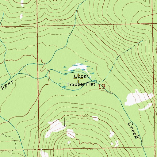 Topographic Map of Upper Trapper Flat, ID