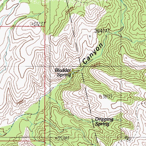 Topographic Map of Bladder Spring, AZ