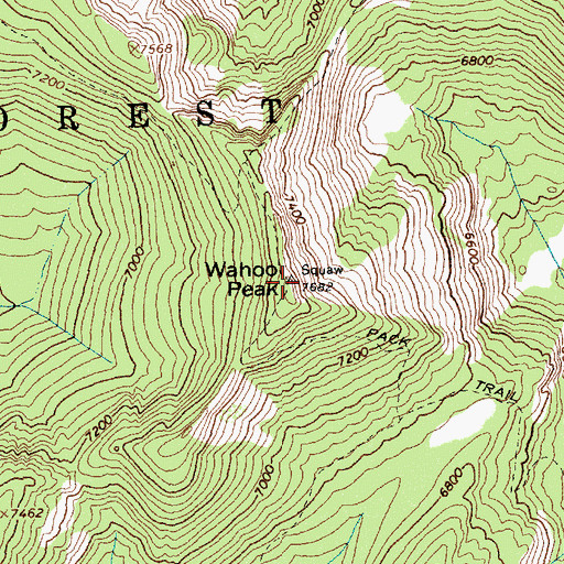 Topographic Map of Wahoo Peak, ID