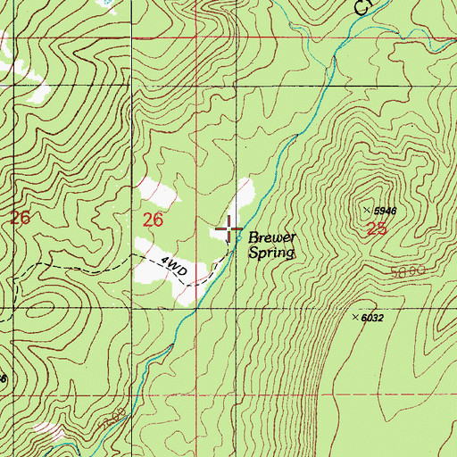 Topographic Map of Brewer Spring, AZ