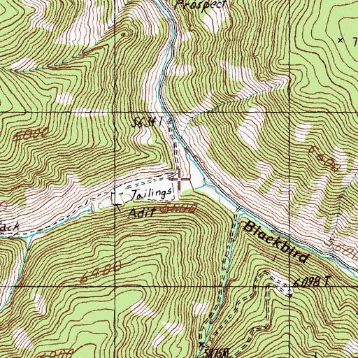Topographic Map of West Fork Blackbird Creek, ID