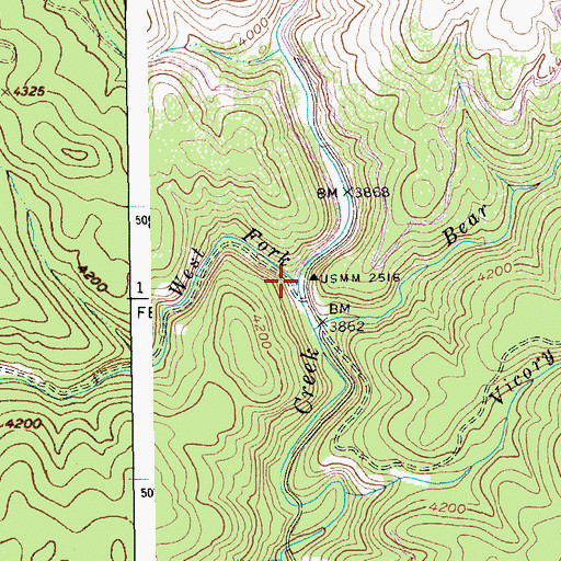 Topographic Map of West Fork Newsome Creek, ID