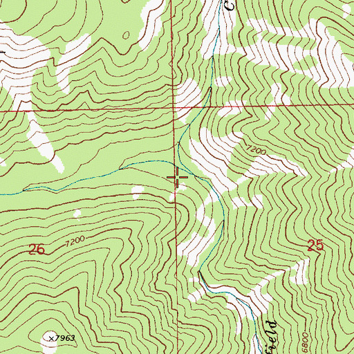 Topographic Map of West Fork Springfield Creek, ID