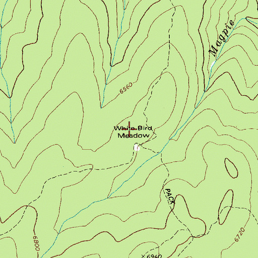 Topographic Map of White Bird Meadow, ID