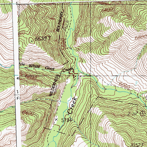 Topographic Map of White Goat Creek, ID