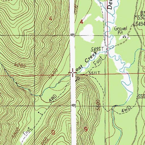 Topographic Map of Wild Buck Trail, ID