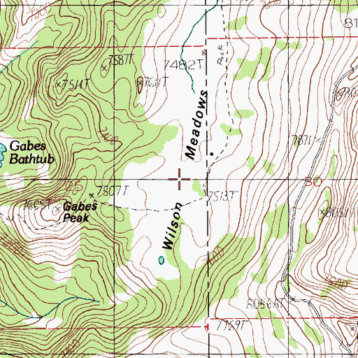 Topographic Map of Wilson Meadows, ID