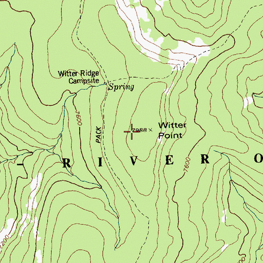 Topographic Map of Witter Point, ID