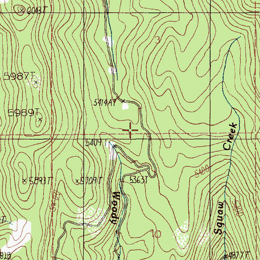 Topographic Map of Woody Creek Trail, ID