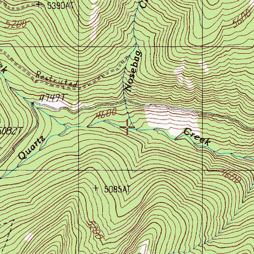 Topographic Map of Nosebag Creek, ID