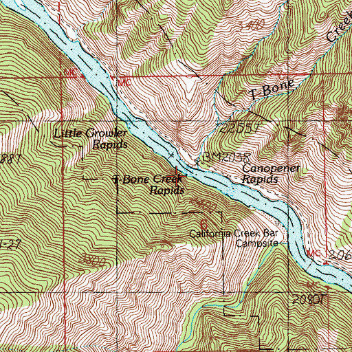 Topographic Map of T-Bone Creek Rapids, ID