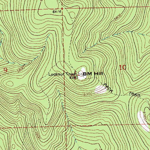 Topographic Map of BM Hill Lookout, ID