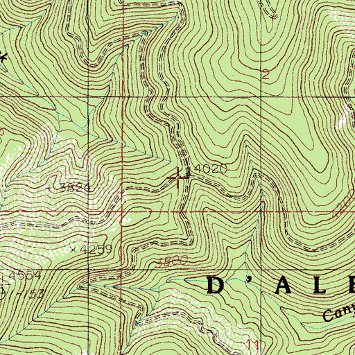 Topographic Map of Skookum Saddle, ID