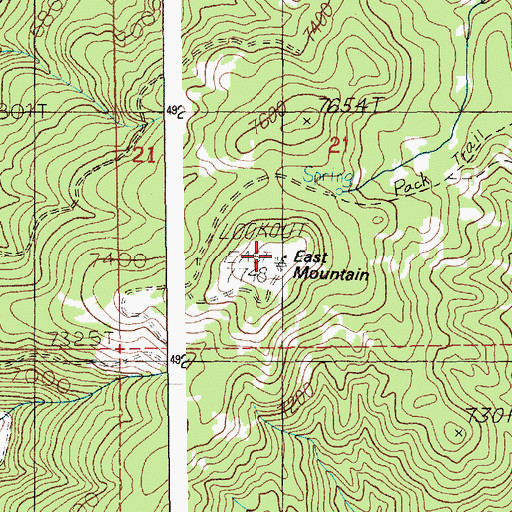 Topographic Map of East Mountain Lookout, ID