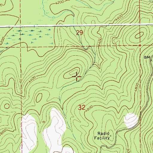 Topographic Map of Upper Fishook Research Natural Area, ID