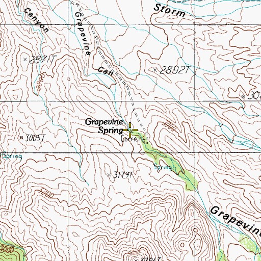 Topographic Map of Grapevine Spring, AZ