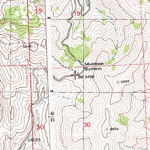 Topographic Map of Muldoon Summit, ID