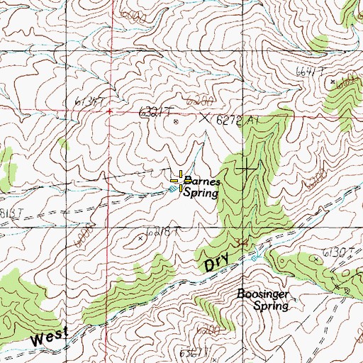 Topographic Map of Barnes Spring, ID