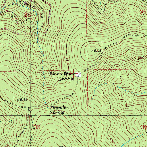Topographic Map of Black Bear Saddle, ID