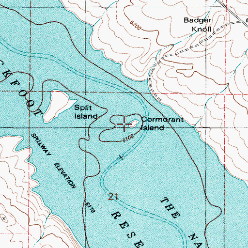 Topographic Map of Cormorant Island, ID