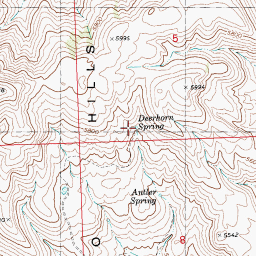 Topographic Map of Deerhorn Spring, ID