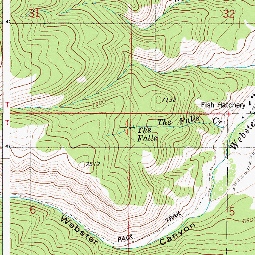 Topographic Map of The Falls, ID