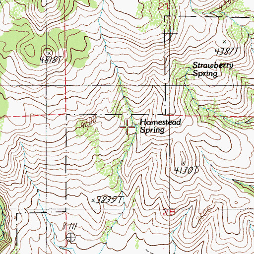 Topographic Map of Homestead Spring, ID
