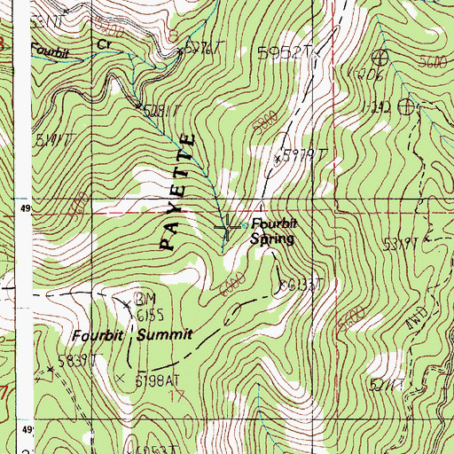 Topographic Map of Fourbit Spring, ID