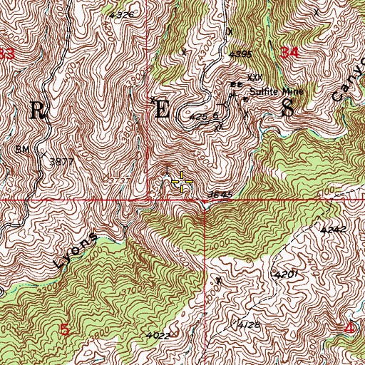 Topographic Map of Lyons Fork Spring, AZ