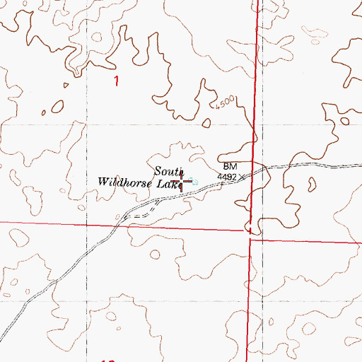 Topographic Map of South Wildhorse Lake, ID