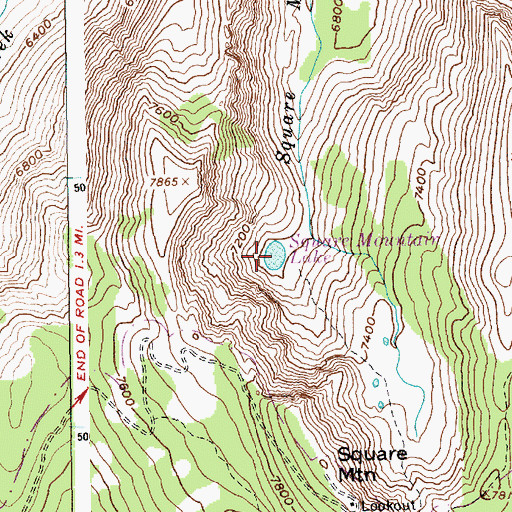 Topographic Map of Square Mountain Lake, ID