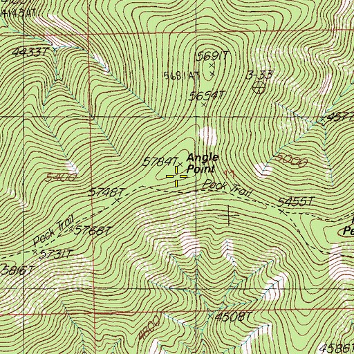 Topographic Map of Angle Point, ID