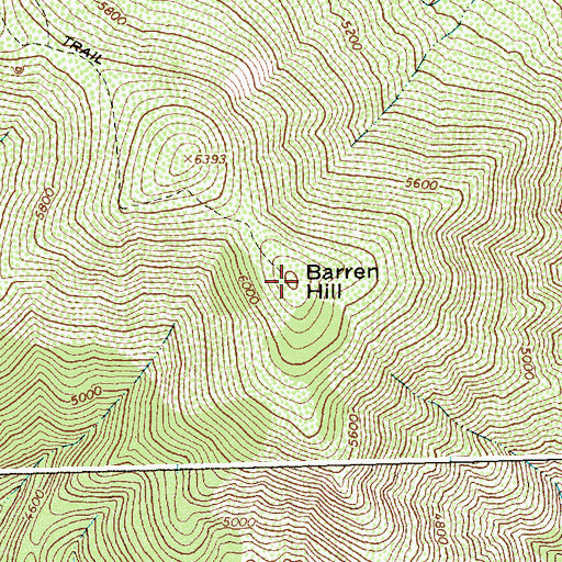 Topographic Map of Barren Hill, ID