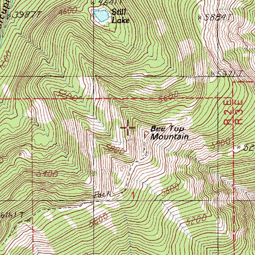 Topographic Map of Bee Top Mountain, ID