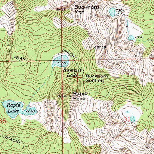 Topographic Map of Buckhorn Summit, ID