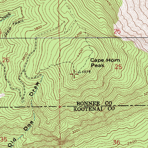 Topographic Map of Cape Horn Peak, ID