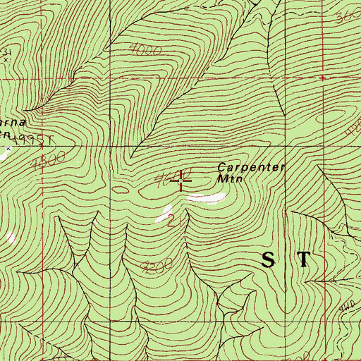 Topographic Map of Carpenter Mountain, ID