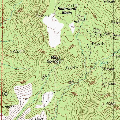 Topographic Map of Mint Spring, AZ