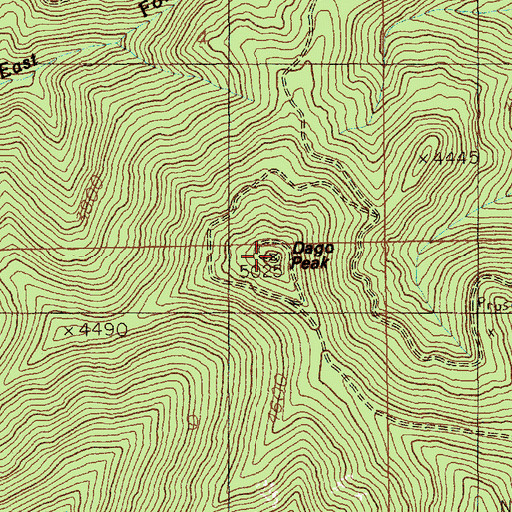 Topographic Map of Dago Peak, ID