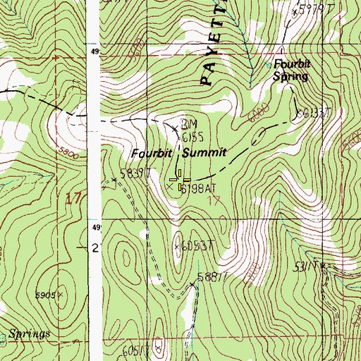 Topographic Map of Four Bit Summit, ID