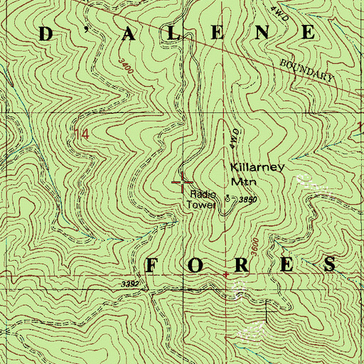 Topographic Map of Killarney Mountain, ID