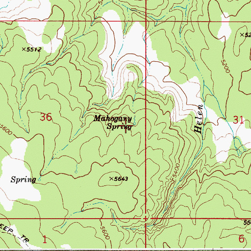 Topographic Map of Mahogany Spring, ID